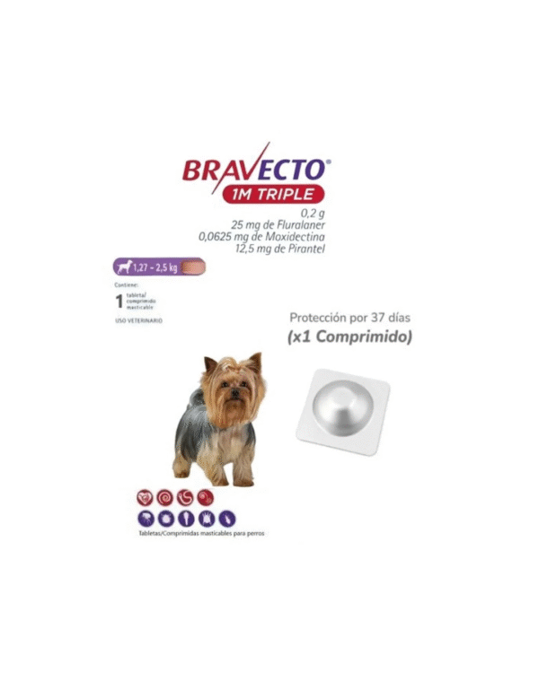 bravecto 1m triple morado 25 mg x 1 tab (1.27 kg a 2.50 kg)