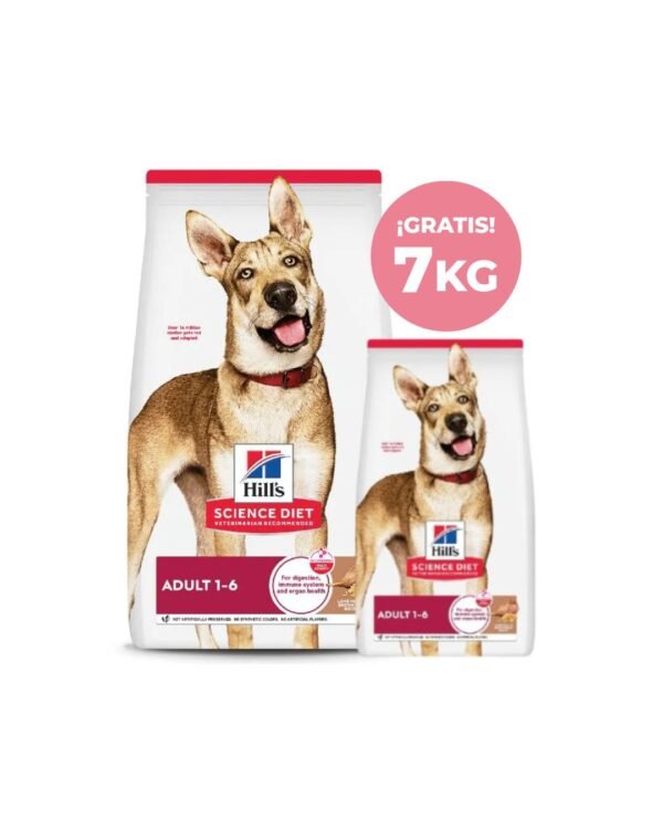 Inicio 3. hills canine adult lamb & rice 15kg