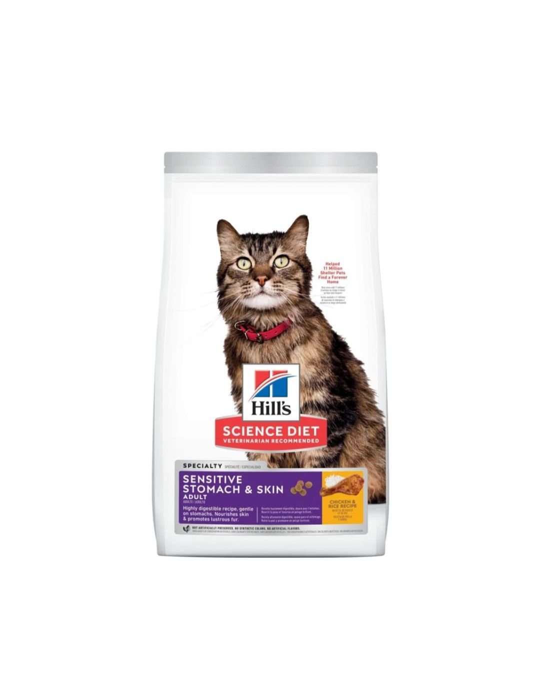 auto draft auto draft