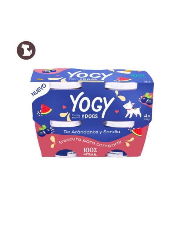 4pack yogy arándanos y sandía