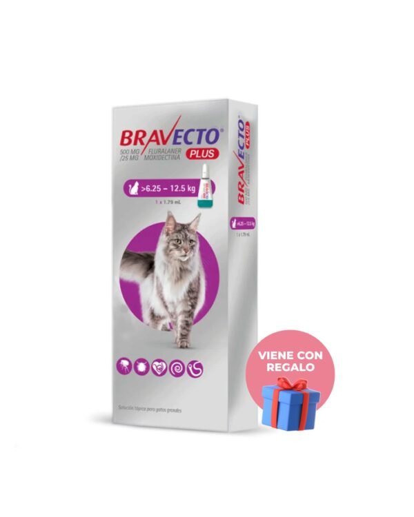 bravecto plus antipulgas para gato pipeta 500 mg 6.25 kg 12.5 kg