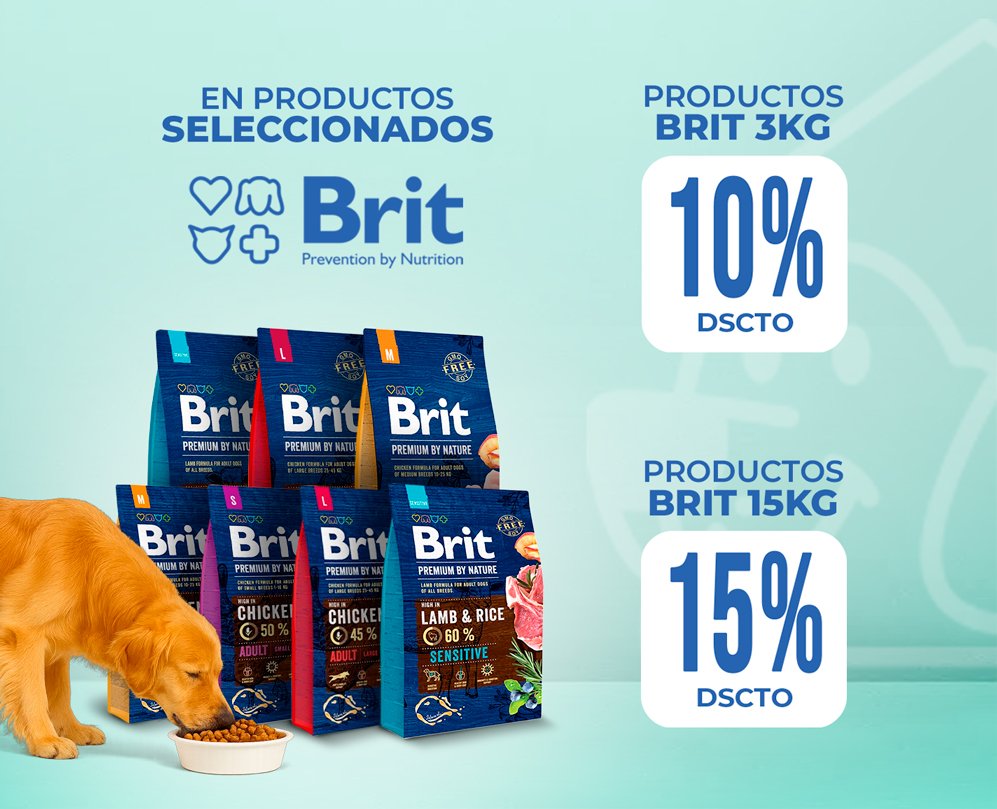 diseÑo rectangulo grande brit diseÑo rectangulo grande brit