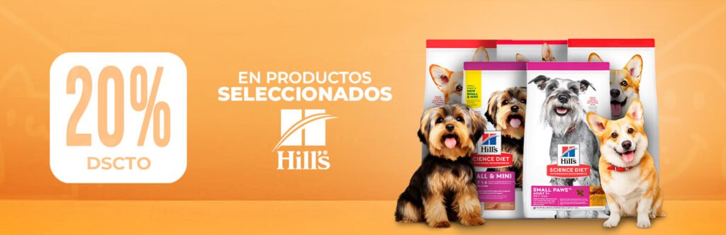 Inicio diseÑo rectangulo largo hills