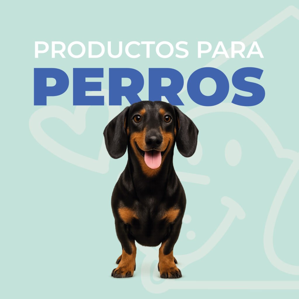 logo colilandia 105 logo colilandia 105