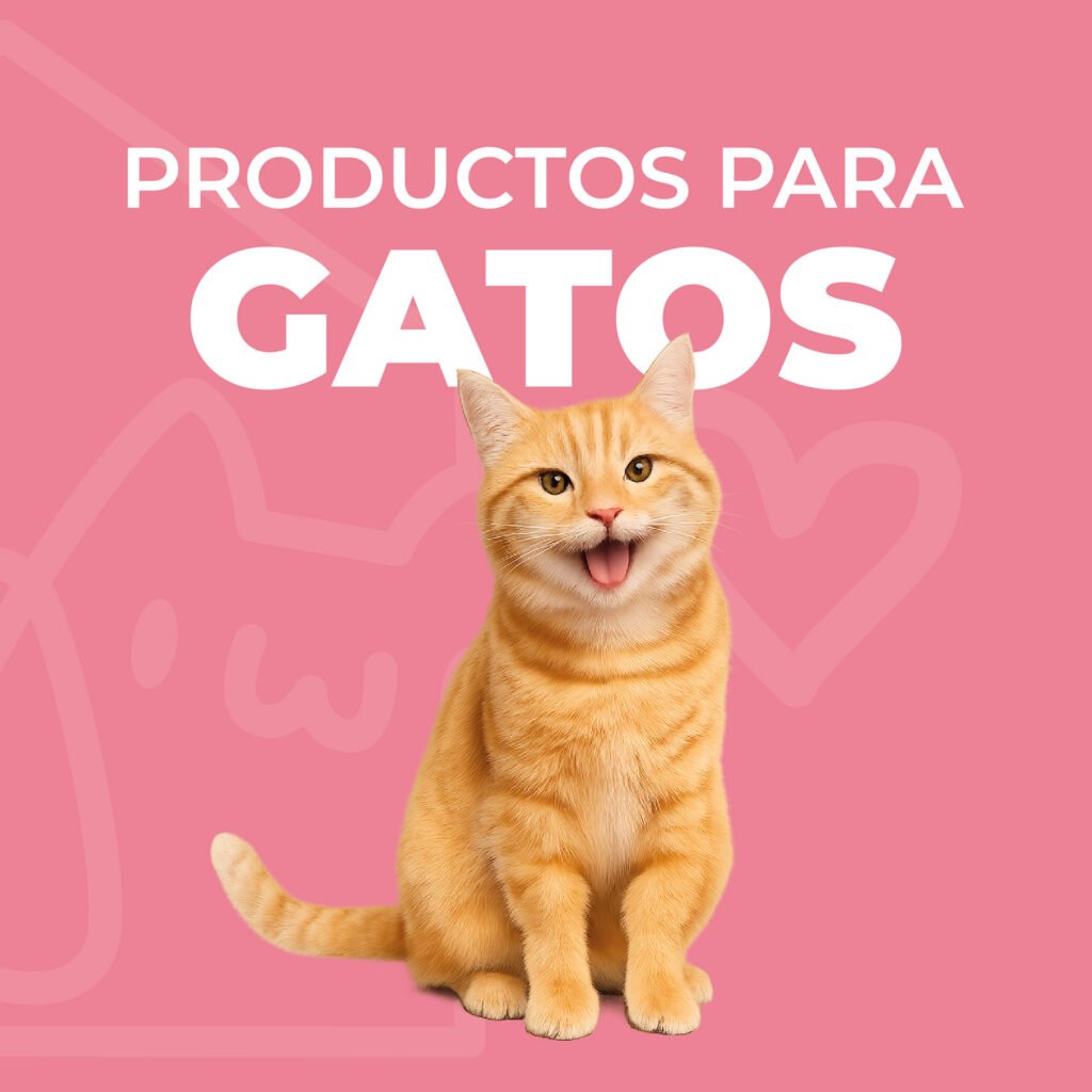 logo colilandia 106 logo colilandia 106